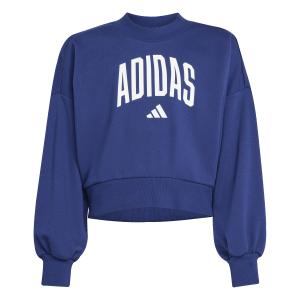 jm1535-sweatshirt-girl-adidas-essentials-collegiate-typography-dkblue-white