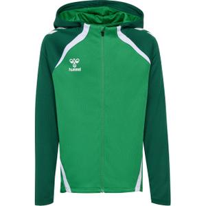 223760-6327-hooded-sweatshirt-for-kids-hummel-lead-2-0-jelly-bean-evergreen