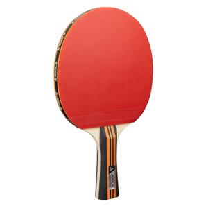 product/j/o/joola_54823_2.jpg