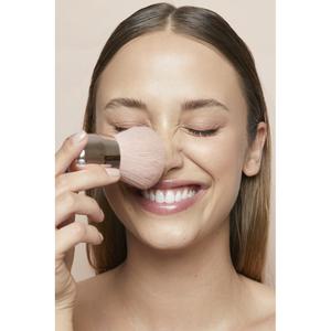 product/p/a/paloma-beauties_am033_2.jpg