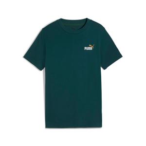 product/p/u/puma_685779-75_1-nw052325.jpg